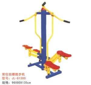 公園健身器材雙位扭腰踏板機-81300